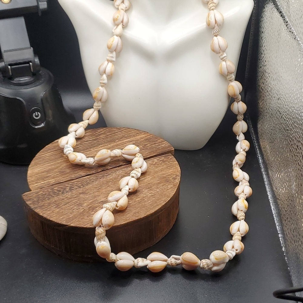 N3002 Hawaii‎ tropic seashell necklace 😍